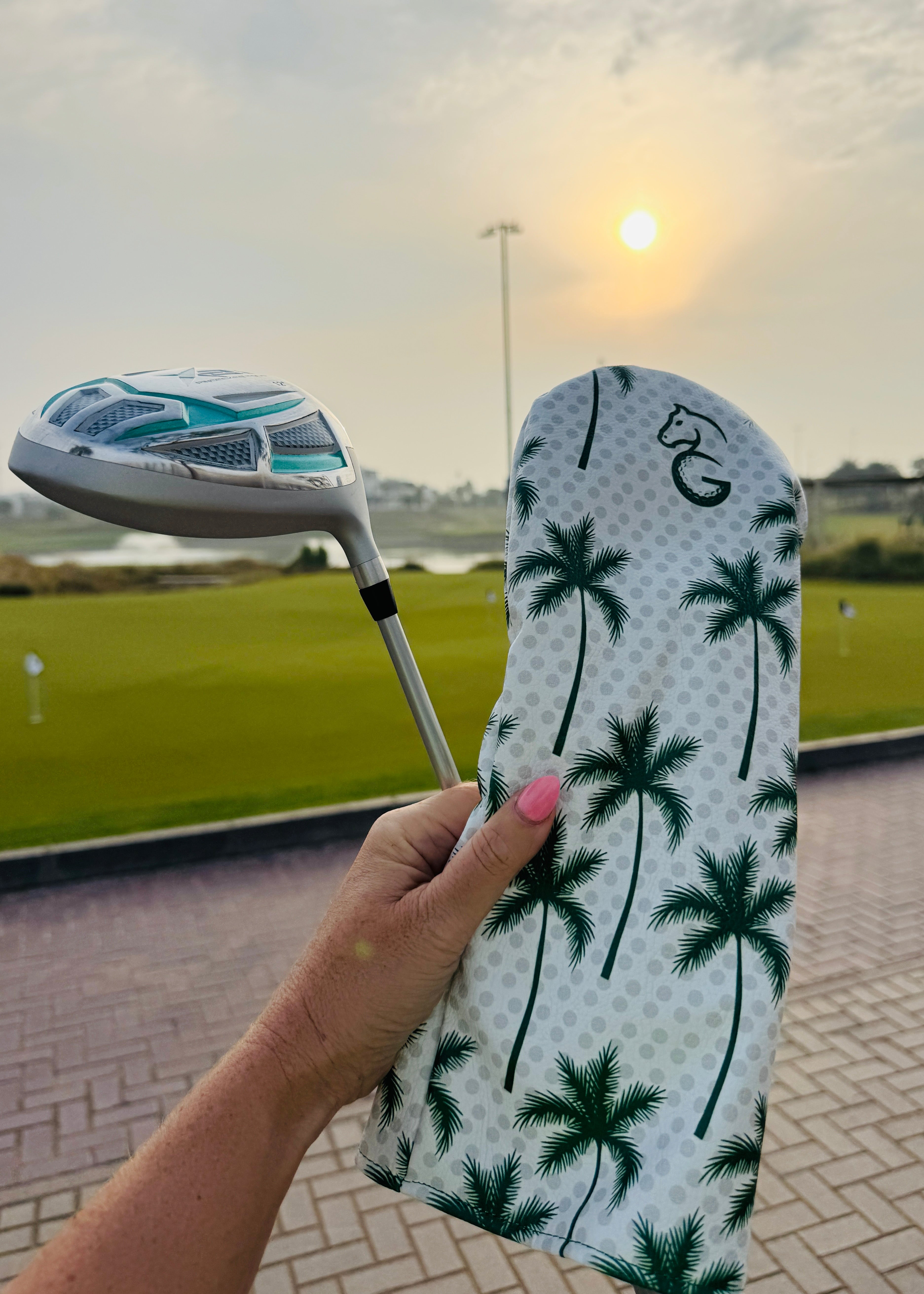 Head Covers - Palm Trees