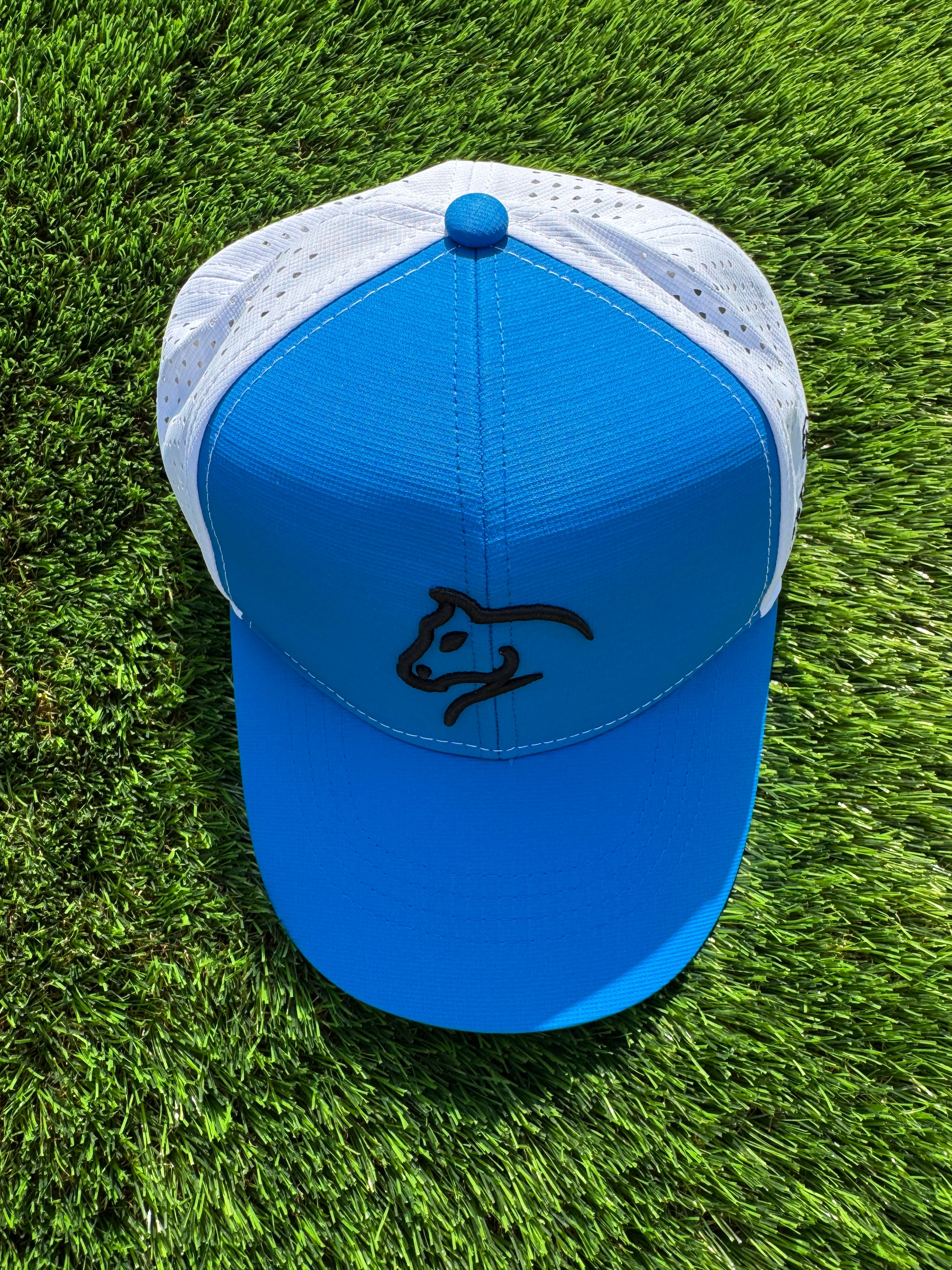 The Keltic Cap - Royal & White