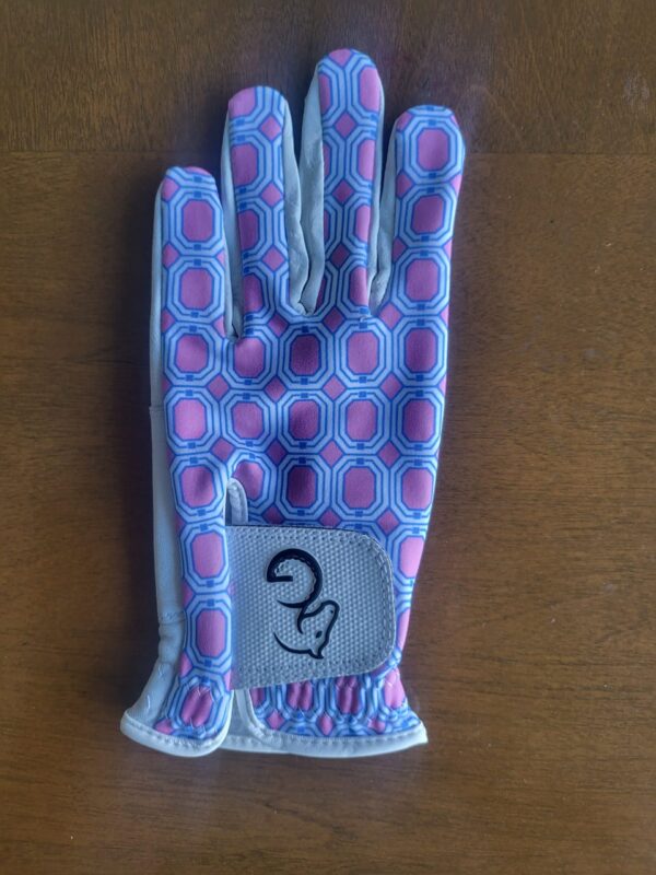 Ladies Gloves - Pink & Blue