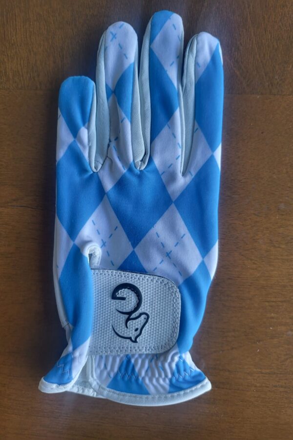 Ladies Gloves - Blue & White